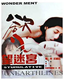 欲望迷宫[电影解说]海报