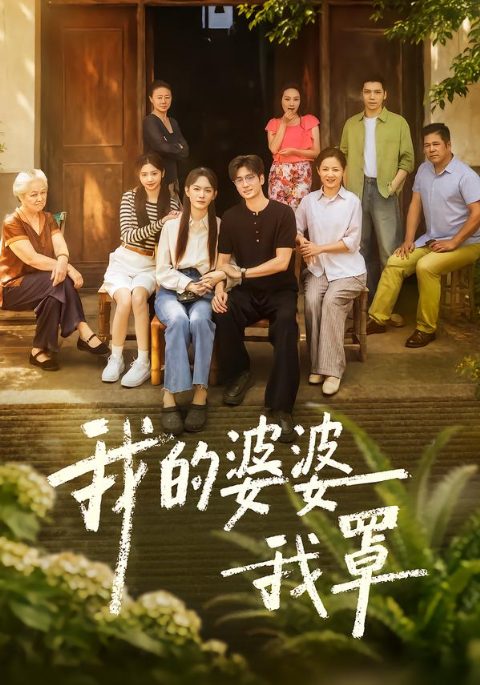 我的婆婆我罩海报