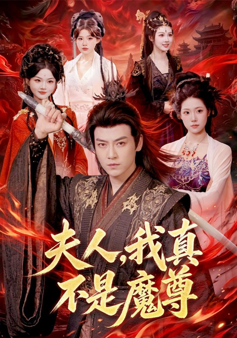 夫人，我真不是魔尊海报