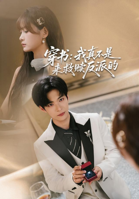 穿书：我真不是来救赎反派的海报