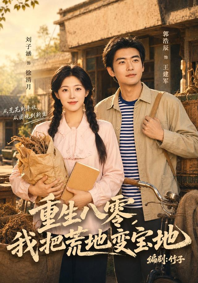 重生八零，我把荒地变宝地海报