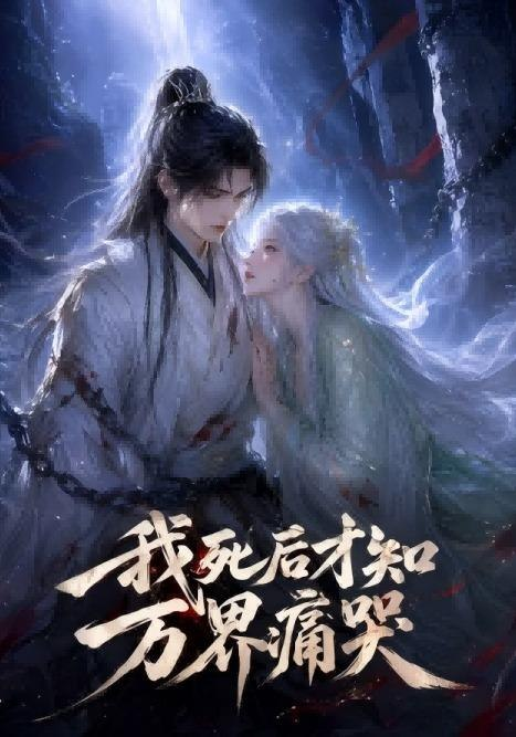 我死后才知万界痛哭海报