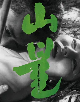 山火1967[电影解说]海报