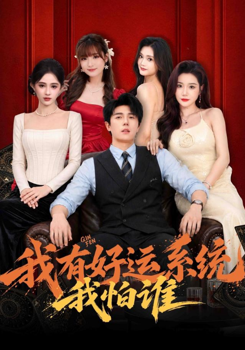 我有好运系统我怕谁海报