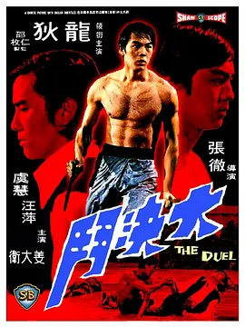 大决斗1971[电影解说]海报