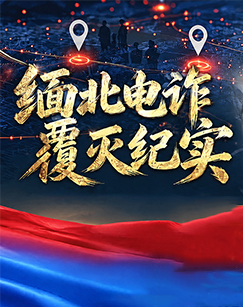 缅北电诈覆灭纪实海报