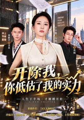 开除我，你低估了我的实力海报