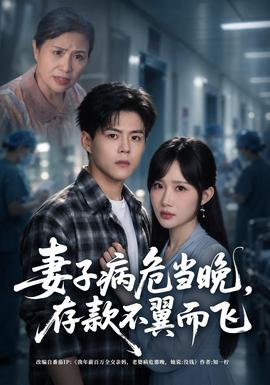 妻子病危当晚，存款不翼而飞海报