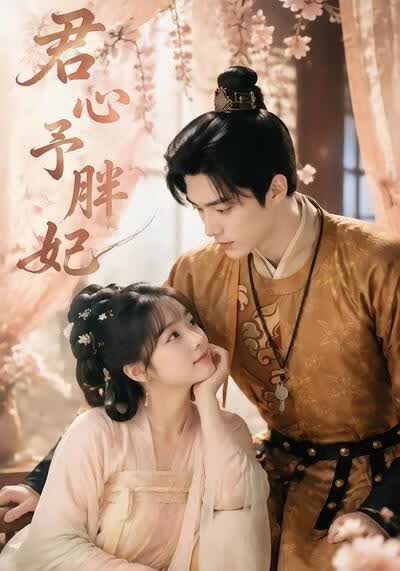 君心予胖妃海报