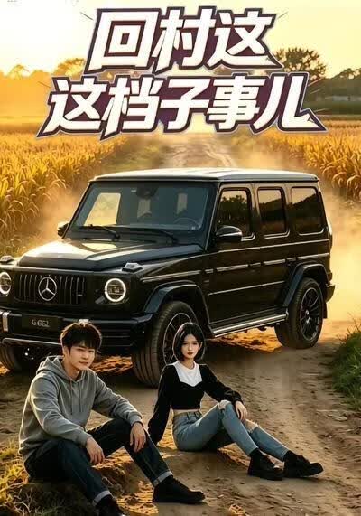 回村这档子事儿海报