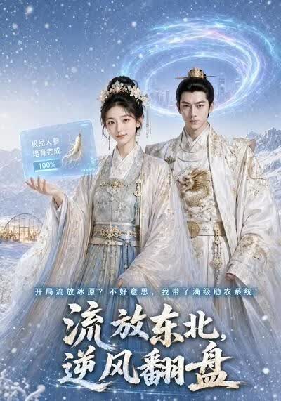 流放东北，逆风翻盘海报