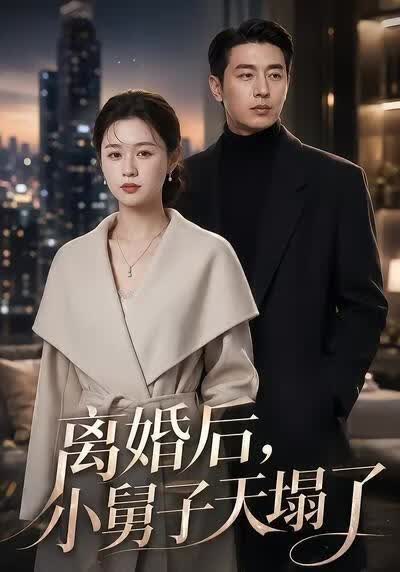 离婚后，小舅子天塌了海报