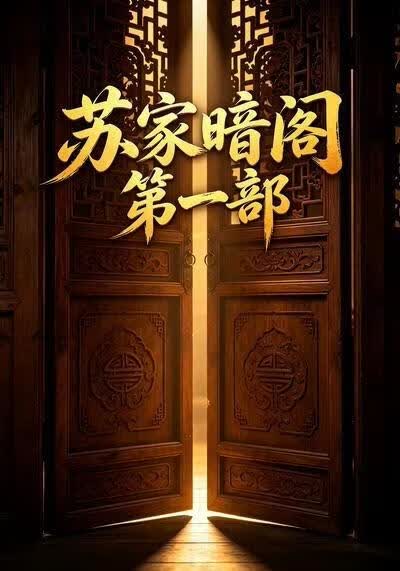 苏家暗阁第一部海报