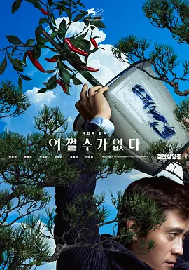 无可奈何海报