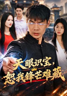 天眼识宝，恕我锋芒难藏海报