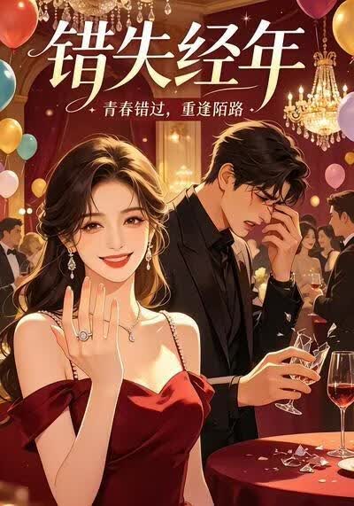 错失经年海报