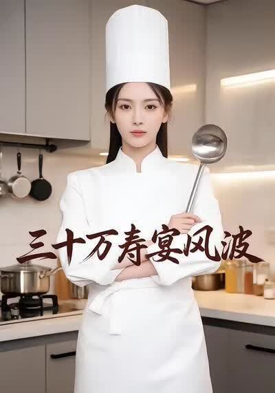 三十万寿宴风波海报