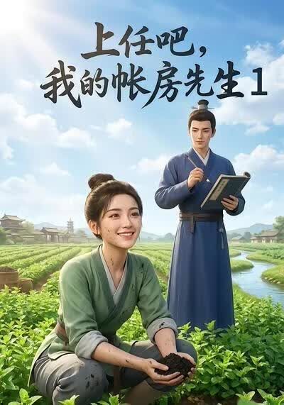 上任吧，我的帐房先生1海报