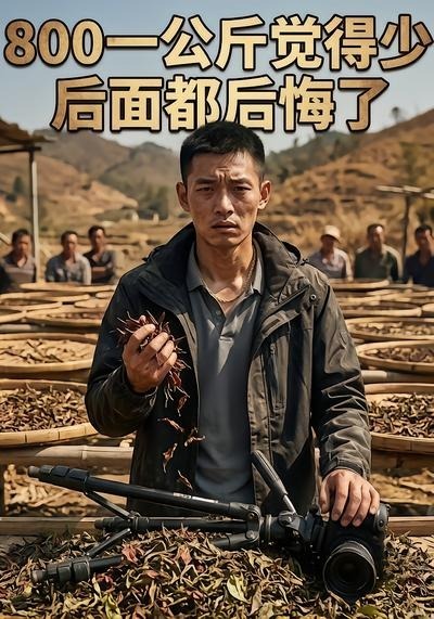 800一公斤觉得少后面都后悔了海报
