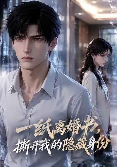 一纸离婚书，撕开我的隐藏身份海报
