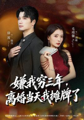 嫌我穷三年，离婚当天我摊牌了海报