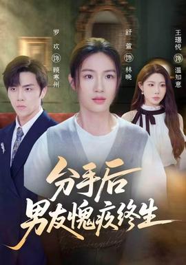 分手后男友愧疚终生海报