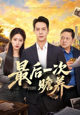 最后一次赡养海报