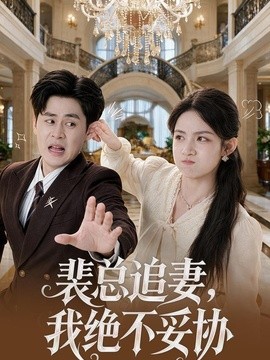 裴总追妻，我绝不妥协海报