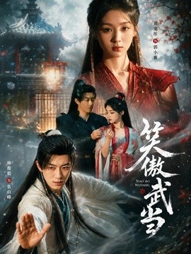 笑傲武当海报
