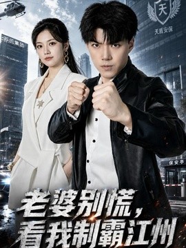 老婆别慌，看我制霸江州海报