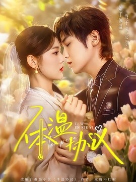 但愿婚长久海报