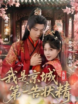 我是京城第一告状精海报
