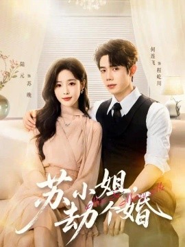 苏小姐，劫个婚海报