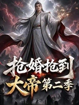 抢婚抢到大帝第二季海报