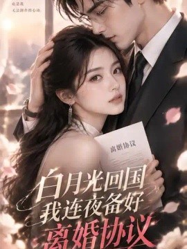 白月光回国我连夜备好离婚协议海报