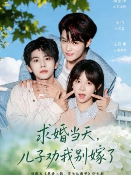 求婚当天，儿子劝我别嫁了海报