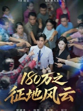 180万之征地风云海报