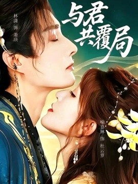 与君共覆局海报