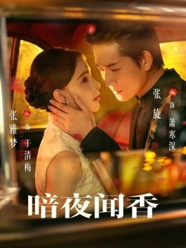 暗夜闻香海报