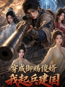 穿成御赐傻婿我起兵建国海报