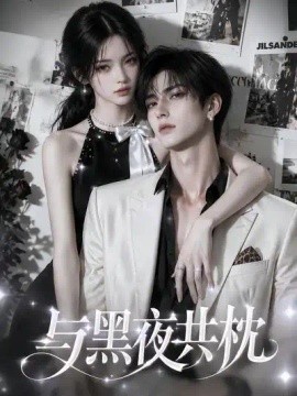 与黑夜共枕！海报