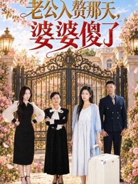 老公入赘那天，婆婆傻了海报