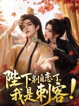陛下别自恋了，我是刺客！海报
