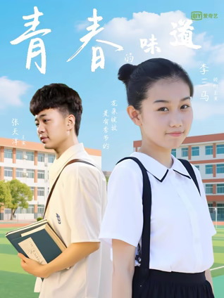 青春的味道海报