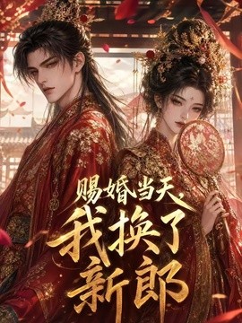 赐婚当天，我换了新郎海报
