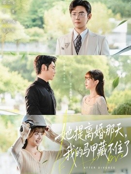 她提离婚那天，我的马甲藏不住了海报