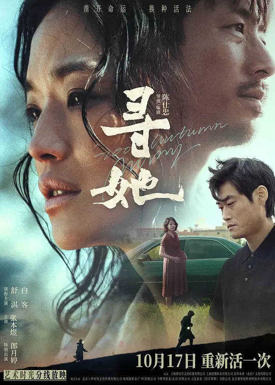 寻她海报