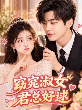 窈窕淑女，君总好逑海报