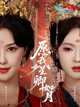 愿我如星卿如月海报