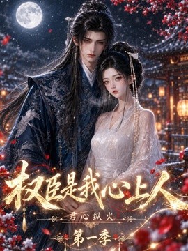 君心纵火权臣是我心上人第一季海报